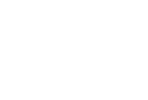 ARRI Video Production Partner Logo