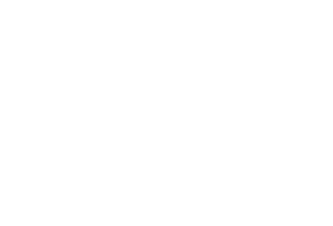 Logo for Norwich Video Production Client, Norse Services