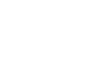 Logo for Norwich Video Production Client, Rainbird AI